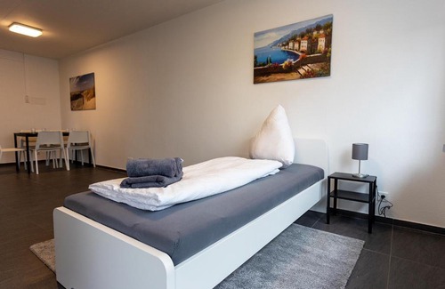 Busingen am Hochrhein Apartment | Cozy 3-Room Apartment with Free Wi-Fi in Prime Location