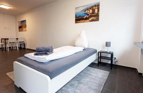 Busingen am Hochrhein Apartment | Cozy 3-Room Apartment with Free Wi-Fi in Prime Location