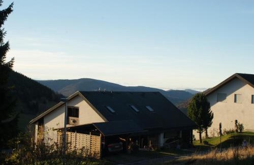 Todtnauberg Apartment | Elegant Retreat at Schöne Aussicht - Rated 9.2/10 by Guests