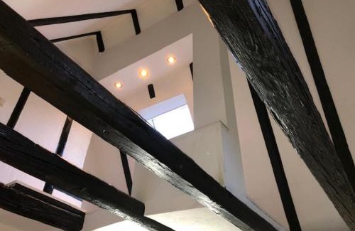 Mainz-Bingen Apartment | Charming Altes Gebälk Fachwerkhaus - Pet and Child Friendly
