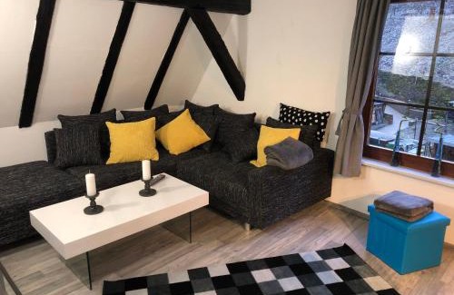 Mainz-Bingen Apartment | Charming Altes Gebälk Fachwerkhaus - Pet and Child Friendly