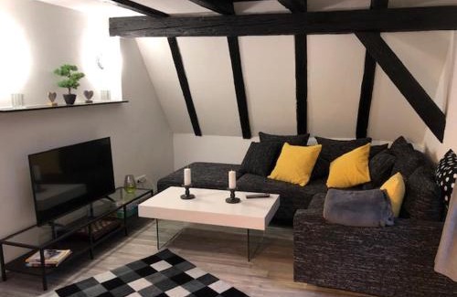 Mainz-Bingen Apartment | Charming Altes Gebälk Fachwerkhaus - Pet and Child Friendly