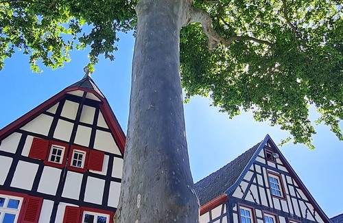 Erpel House | Pet-Friendly Getaway in Erpel Near Rheinsteig - 10/10 Rated