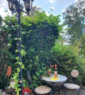 Felsberg Apartment | Charming Vacation Apartment with Terrace and Garden Oasis