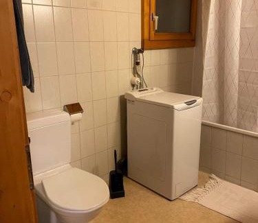 Huenibach Apartment | Scenic Lakeview Apartment with Oceanfront Charm