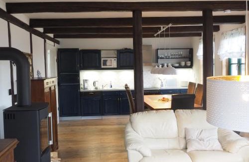 Ilsenburg Apartment | Cozy Harz Retreat with Fireplace & Pet-Friendly Amenities