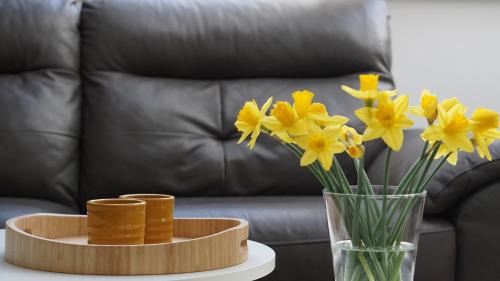 Sankt Andreasberg Apartment | Perfect Getaway at Schöne Höhe 600: Family-Friendly Retreat