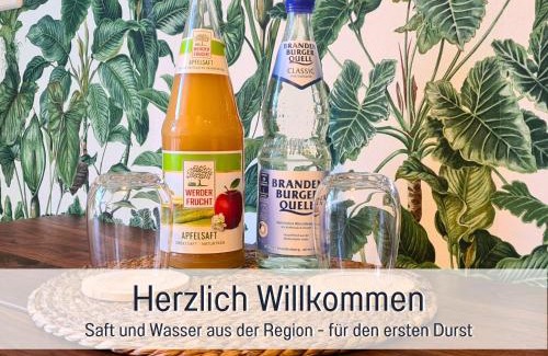 Brandenburg an der Havel Apartment | Cozy City Apartment with Kitchen and SmartTV for 5 Guests