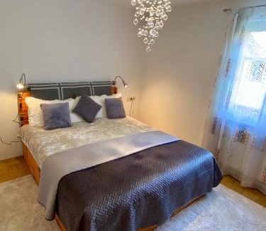 Wangen im Allgaeu Apartment | Charming Apartment in Historic City Center for Families