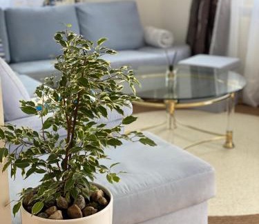 Wangen im Allgaeu Apartment | Charming Apartment in Historic City Center for Families