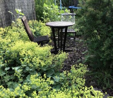 Osnabrueck Apartment | Inviting Widukindland Home with Garden and Terrace