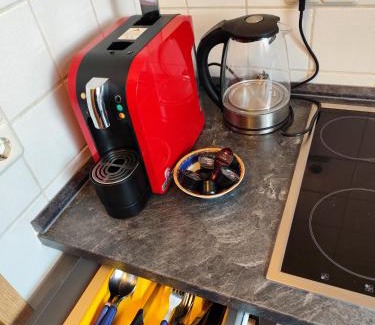 Friedrichshofen-Hollerstauden Apartment | Schöne Wohnung zentral Ingolstadt