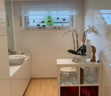 Offenburg House | Inviting Rooms in the Heart of Vibrant City Life