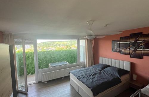 Wuerzburg Apartment | Scenic Apartment with Fortress View & Free Parking