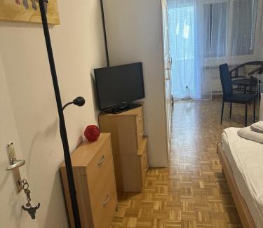 Basel Bed & Breakfast | Cozy Room in Basel City with Pet-Friendly Amenities