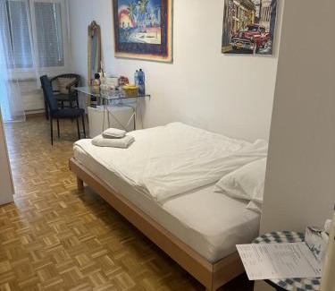 Basel Bed & Breakfast | Cozy Room in Basel City with Pet-Friendly Amenities