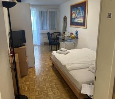 Basel Bed & Breakfast | Cozy Room in Basel City with Pet-Friendly Amenities