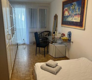 Basel Bed & Breakfast | Cozy Room in Basel City with Pet-Friendly Amenities