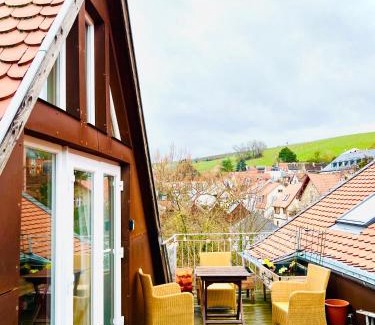 Mainz-Bingen Apartment | Unforgettable Views of Oppenheim - Family-Friendly Stay!