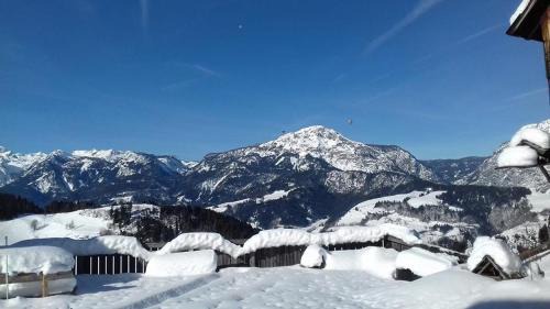 Michaelerberg House | Pet-Friendly Escape at Schirfhof with Top Guest Rating