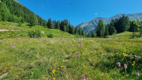 Schladming Apartment | Planai View Top 12 - Family-Friendly Retreat with High Ratings
