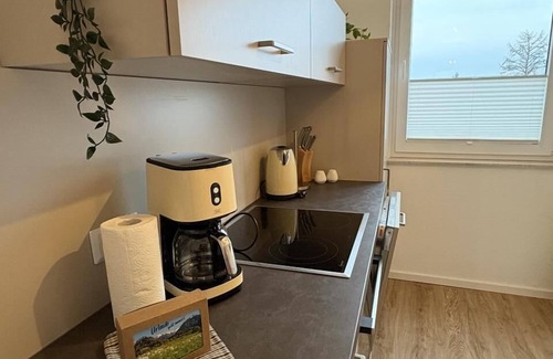 Schleswig Apartment | Schlei Möwe with an unobstructed view of the Schlei