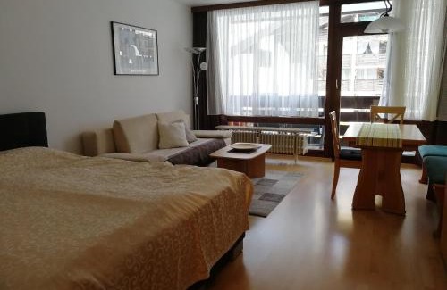 Sankt Martin bei Lofer Apartment | Pet-Friendly Escape at Schloss Grubhof Appartement