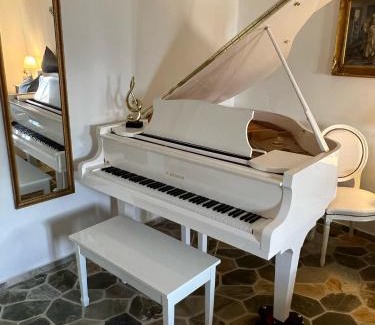 Heiligengrabe Apartment | Discover Schloss Grabow: Pet-Friendly Resort with Piano Collection