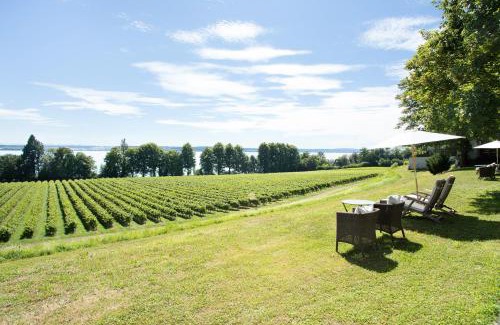 Immenstaad am Bodensee Apartment | Elegant Schloss Kirchberg - Guest Rated 9.7/10