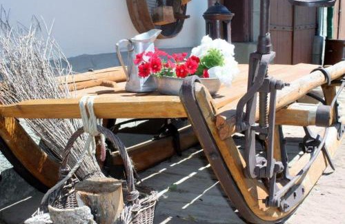 Rosenfeld House | Perfect Stay at Schlosshof Täbingen - Pet Friendly & Kitchen