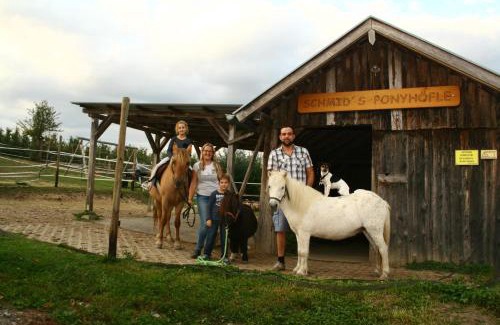 Habratsweiler Apartment | Family-Friendly Retreat at Schmid's Ponyhöfle - Rated 9.4