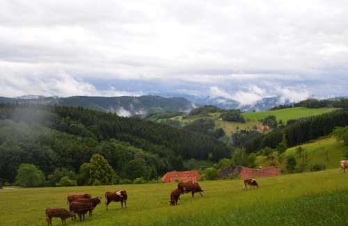 Oberwolfach Apartment | Schornhof