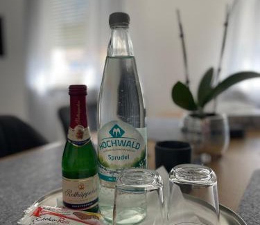 Pirmasens Apartment | Family-Friendly Schuhpartment near Zweibrücken Outlet Center