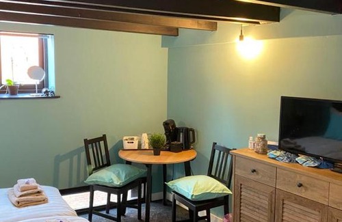Zierikzee Bed & Breakfast | Family-Friendly Retreat at Schutter 7 with Pet Amenities
