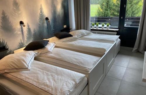 Kniebis Apartment | Pet-Friendly Schwarzwald Wohnung Kniebis - Guest Rated 8.8/10