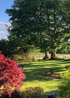 Cookstown House | Experience Scott's Barn: Oceanfront Getaway with Hot Tub