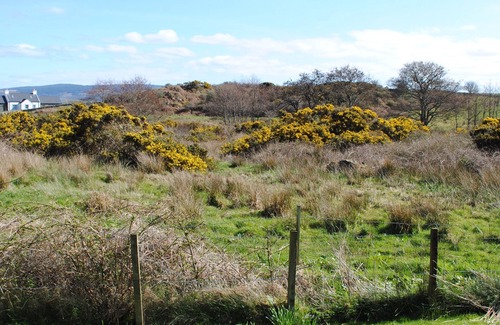Isle of Gigha Cottage | Idyllic Isle of Gigha: Pet-Friendly Retreat with Ocean Views
