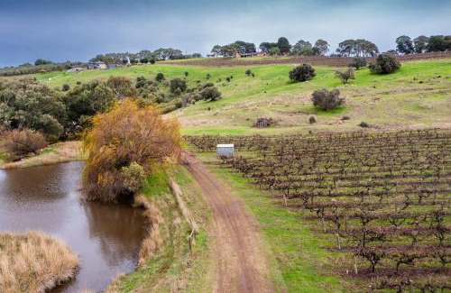 McLaren Vale House | Cozy Scrub Tiny House: Ideal for Families and Pets