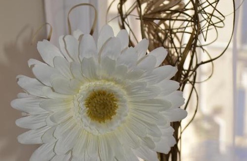 Douglas Bed & Breakfast | Welcoming Sea Breeze Guest House - Family-Friendly Retreat