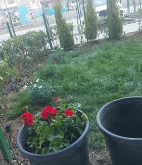 Nardaran Apartment | Sea Breeze,Park Residents 2 by Tatyana