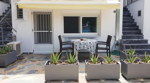 Mpoufalo Apartment | Oceanfront Sea Front Studio with Pet-Friendly Amenities