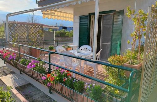 Sant'Anna Apartment | Sea Garden: Oceanfront Paradise with Pool & Pet-Friendly