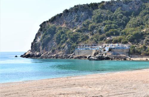 Jala House | Experience Oceanfront Comfort at Alexis House Hotel