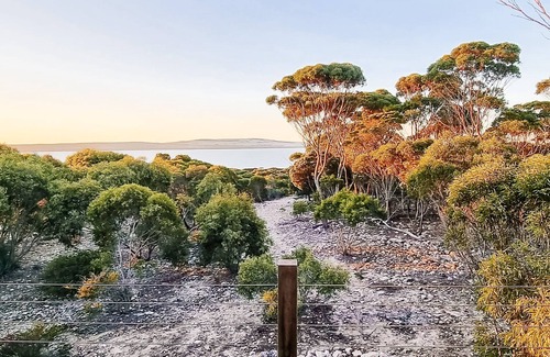 Kingscote House | Guest Rated 10/10: Sea Loft with Pool & Oceanfront Views