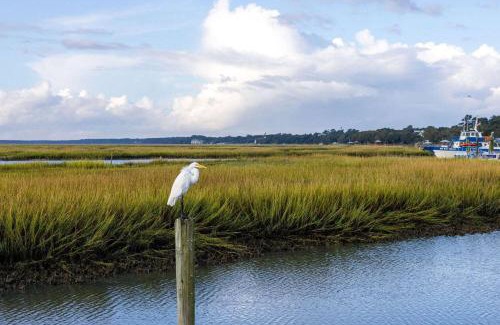 Garden City Resort | Oceanfront Sea Mystique Resort: Family-Friendly Getaway