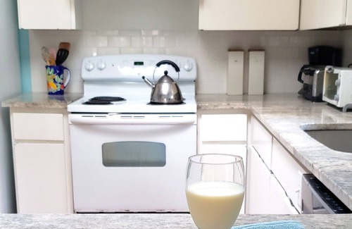 Beach Lagoon House | Oceanfront SEA PINES: Guest Rated 9.6, Steps to the Beach