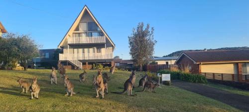 Kioloa House | Sea-renity