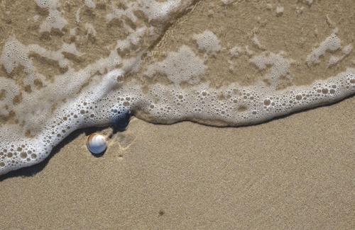 Scamander Villa | Sea Shells Studio @ The Blue Seas