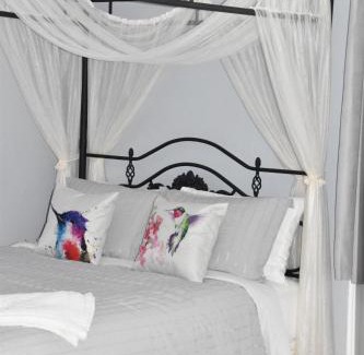 Pictou Bed & Breakfast | Discover Seabank House Bed and Breakfast Hummingbird