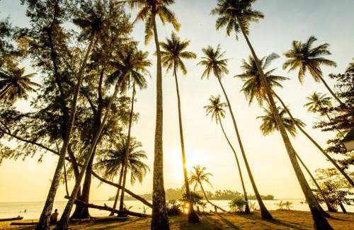 Ko Kood Resort | Discover Seacret KohKood: Poolside Relaxation Awaits